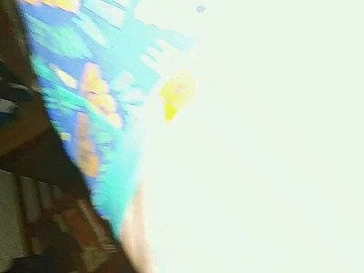 Amateur girlfriend feet