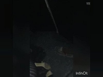 Adult Bookstore Slut