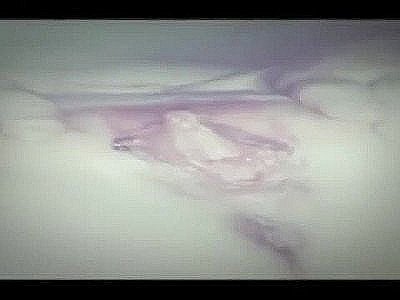 A compilation of all my pictures and squirting