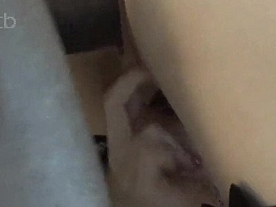 Wife fucks bbc while her hubby watches and films