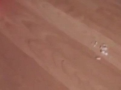 Deutsche Amateure 323