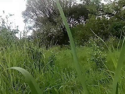 Public Sex With a Big Cock Outdoors